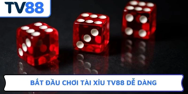 Bắt đầu chơi Tài xỉu TV88 dễ dàng