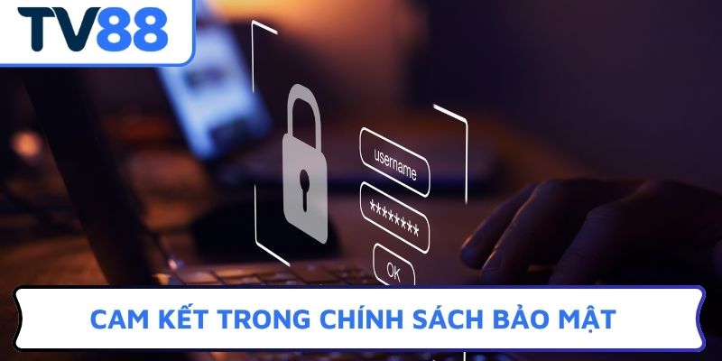 Cam kết trong chính sách bảo mật