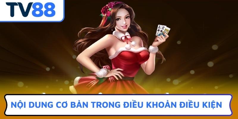 Nội dung cơ bản trong điều khoản điều kiện